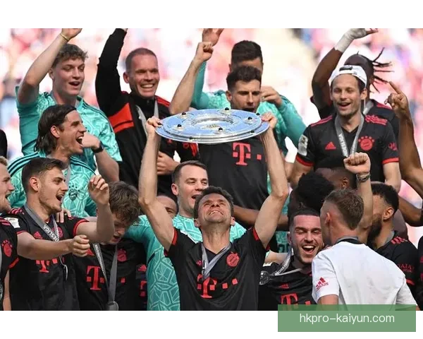 拜仁球队结构分析：核心实力与新阵容趋势展现竞争力增强